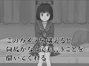 このカメラを構えると何故かなんでも言うことを聞いてくれる(ぽえなみ) [d_714705]