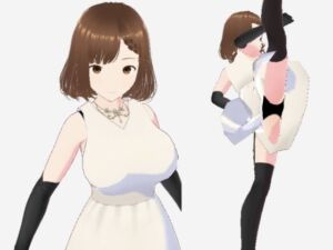 スカートの下にガーターストッキングを着たレディ（セリフなし  3DCGモデル  イラスト集）(アンリアルパイヤン) [d_715375]