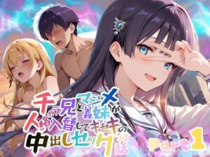 チャラ兄とマジメ義妹が人格入替してキセキの中出しセックする話 Part1(メコ星☆彡) [d_715724]