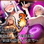 淫紋刻印〜禁欲のエルフ魔術師が快楽の虜になるまで〜(赤羽美波) [d_718907]