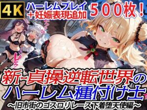 新・貞操逆転世界のハーレム種付け士〜旧市街のゴスロリレース下着堕天使編〜（妊娠要素あり）(爆乳ハーレムファンタジア) [d_719331]