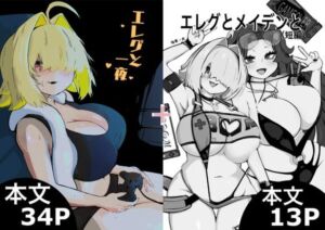 エレグと一夜＋エレグとメイデンと(瞳黒ノ会) [d_719896]