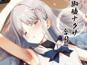 御稜ナグサ合同(つきのちかけいこく) [d_720178]