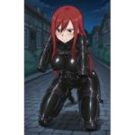 Erza bitchsuit fullpackage 2(ruibosutea) [d_721842]