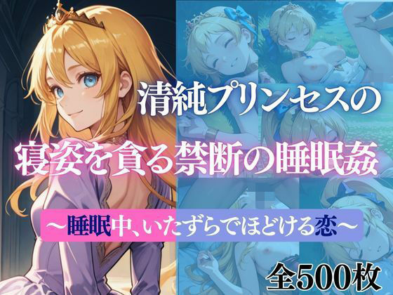 清純プリンセスの寝姿を貪る禁断の睡眠姦〜睡●中、いたずらでほどける恋〜(だくせる) [d_722088]