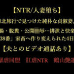【NTR/人妻堕ち】東北旅行で見つけた純朴な貞淑妻。浣腸・脱糞・公開陵●…排泄と快楽の「38番」家畜へ作り変えられた4日間【夫とのビデオ通話あり】(暴虐同盟) [d_724022]