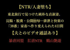 【NTR/人妻堕ち】東北旅行で見つけた純朴な貞淑妻。浣腸・脱糞・公開陵●…排泄と快楽の「38番」家畜へ作り変えられた4日間【夫とのビデオ通話あり】(暴虐同盟) [d_724022]