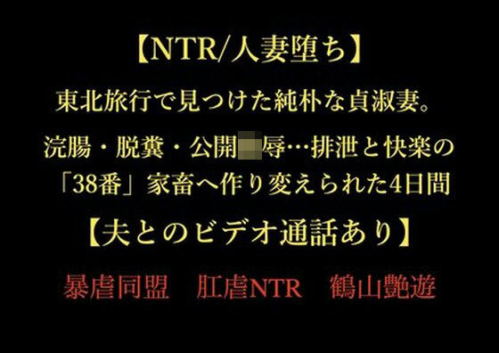 【NTR/人妻堕ち】東北旅行で見つけた純朴な貞淑妻。浣腸・脱糞・公開陵●…排泄と快楽の「38番」家畜へ作り変えられた4日間【夫とのビデオ通話あり】(暴虐同盟) [d_724022]