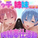 ビッチな姉妹による搾精奉仕活動  ラム・レム編(琥珀) [d_724149]