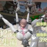 tsumayoji研究所 2025年 総集編(tsumayoji研究所) [d_724968]