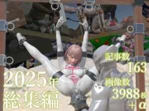 tsumayoji研究所 2025年 総集編(tsumayoji研究所) [d_724968]