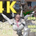 tsumayoji研究所 2025年 総集編 ［4K version］(tsumayoji研究所) [d_724972]