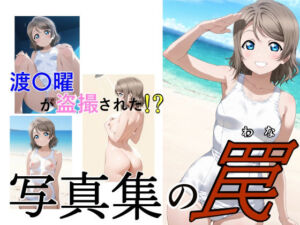 写真集の罠(サイボーグくま) [d_725407]