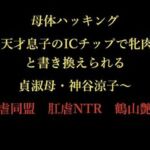 母体ハッキング 〜天才息子のICチップで牝肉へと書き換えられる貞淑母・神谷涼子〜(暴虐同盟) [d_727300]