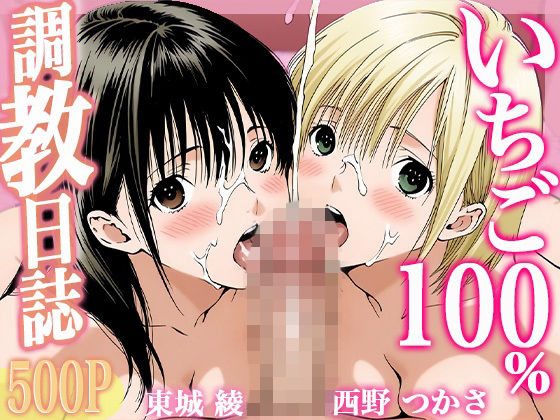 調教日誌 東城綾 西野つかさ(すぽんじけーき) [d_727638]