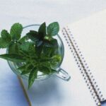 おむつ現役JK作家の最期(リョナの監獄) [d_728464]