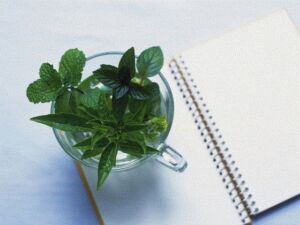 おむつ現役JK作家の最期(リョナの監獄) [d_728464]