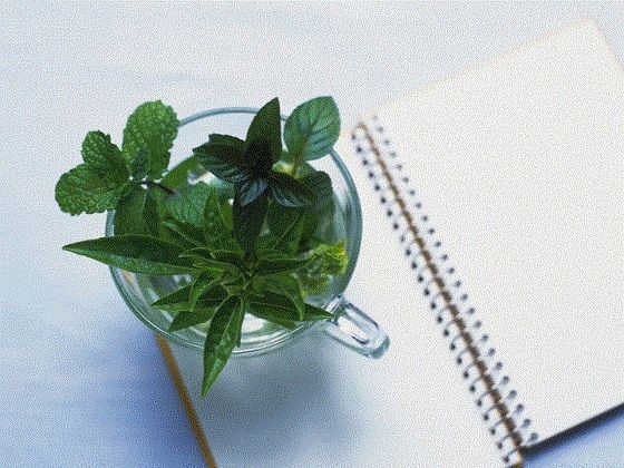 おむつ現役JK作家の最期(リョナの監獄) [d_728464]