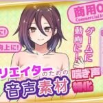 クリエイターの私が本当に欲しかった音声素材79(ふぁっちゅ) [d_716000]