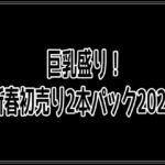 巨乳盛り！-新春初売り2本パック2026-(百円本舗) [d_719574]