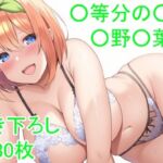 ◯等分の◯嫁 ◯野◯葉ver2(フェリスシルキー) [d_729197]