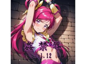 姦禁辱 vol.12(マッチョメソ) [d_731653]