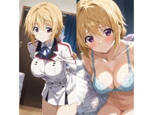 シャルロット・デュノアイラスト集1(freezereplay) [d_731850]