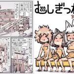 むしぎつね3セット目(安穏庵) [d_732075]