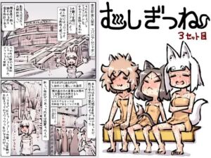 むしぎつね3セット目(安穏庵) [d_732075]