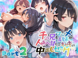 チャラ兄とマジメ義妹が人格入替してキセキの中出しセックする話 Part2(メコ星☆彡) [d_732951]