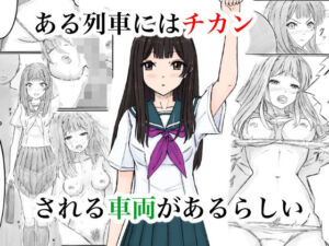 ある列車にはチカンされる車両があるらしい(晩夏) [d_733890]