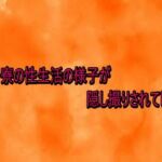 女子寮の性生活の様子が隠し撮りされてしまう(とろけるオナサポサークル) [d_735054]