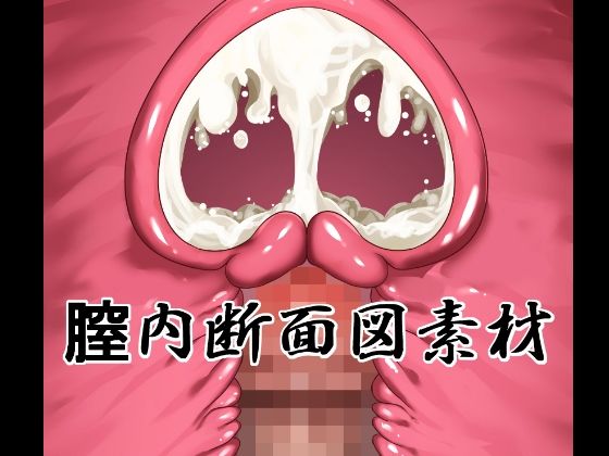 膣内断面図素材(水の木) [d_735779]