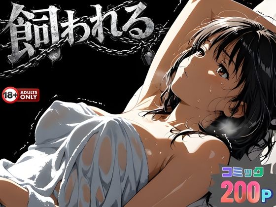 事故の代償は飼育生活でした。(はじめちゃん) [d_734215]