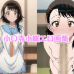 小〇寺小咲エロ画集【全20枚】(どんとろ) [d_734422]