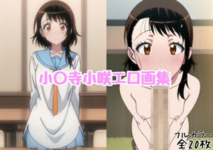 小〇寺小咲エロ画集【全20枚】(どんとろ) [d_734422]