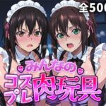 みんなのコスプレ肉玩具  ス〇ブラ編(ひろいんるーむ) [d_736683]