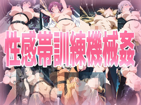 性感帯訓練機械姦(みせつけ工房) [d_739068]