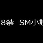 SM小説23 令嬢哀奴 寝取られ牝の悲劇(蘭雨) [d_741284]