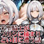 新米聖騎士ゴブリンに捕まりメス堕ち(GRADUAL) [d_741518]