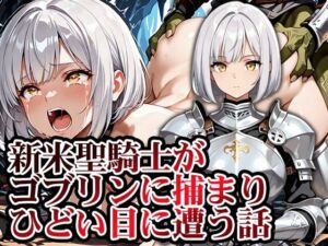 新米聖騎士ゴブリンに捕まりメス堕ち(GRADUAL) [d_741518]