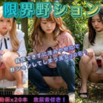 限界野ション(P-AI planning) [d_741551]