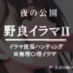 夜の公園ー野良イラマ2【夜道はイラ魔に要注意】(玲の部屋) [d_742217]