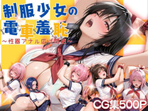 制服少女の電車羞恥(らぷぷ) [d_743010]