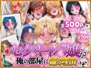 ピンサロ嬢が俺の部屋に通う理由 〜セーラームーン編〜(裏オプ倶楽部) [d_744012]