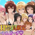 VIP会員限定のハーレムビーチ  トラブル総集編(ハピネス) [d_744797]