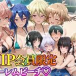 VIP会員限定のハーレムビーチ  フォギア総集編(ハピネス) [d_745393]
