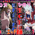 『連れ去られた軽〇沢、監〇航海』＆『夜の学校で監〇拘束、ひ〇り』2冊セット、 動画10本(エレガントビジョン) [d_747180]