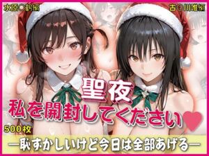 聖夜、私をプレゼントします【豪華CG500枚収録】(奪われた純愛) [d_747910]