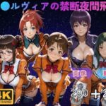ス●ルヴィアの禁断夜間飛行〜5人のヒロインとゼログラビティ・セックス〜 CG集と動画のお得な【セット作品】(てんごう食堂) [d_750426]
